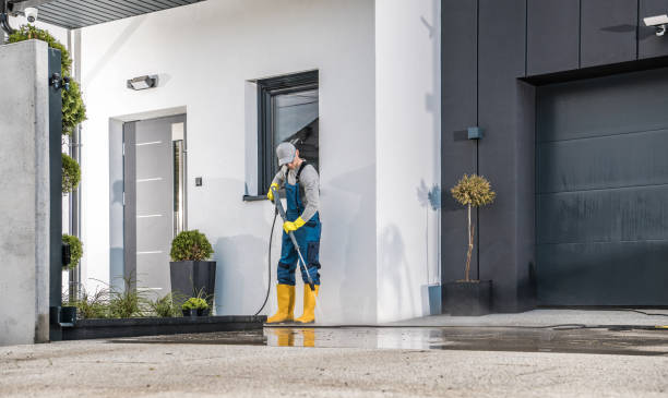 Best House Exterior Washing  in Walce Ridge, LA