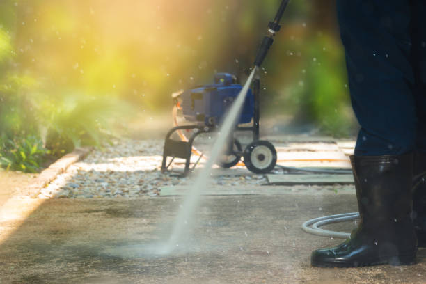 Best Gutter Cleaning  in Walce Ridge, LA
